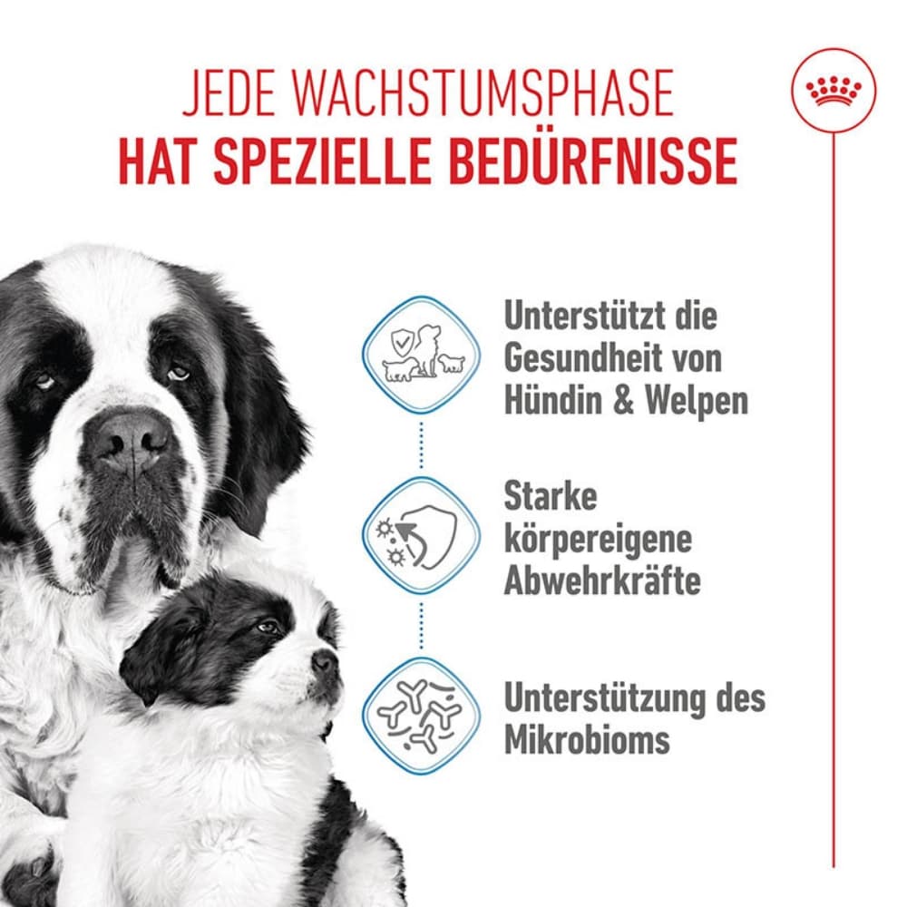 Royal Canin Giant Starter für tragende Hündin und Welpen großer Rassen_1