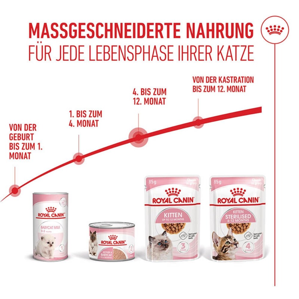 Royal Canin Kitten Nassfutter in Soße für Kätzchen_6