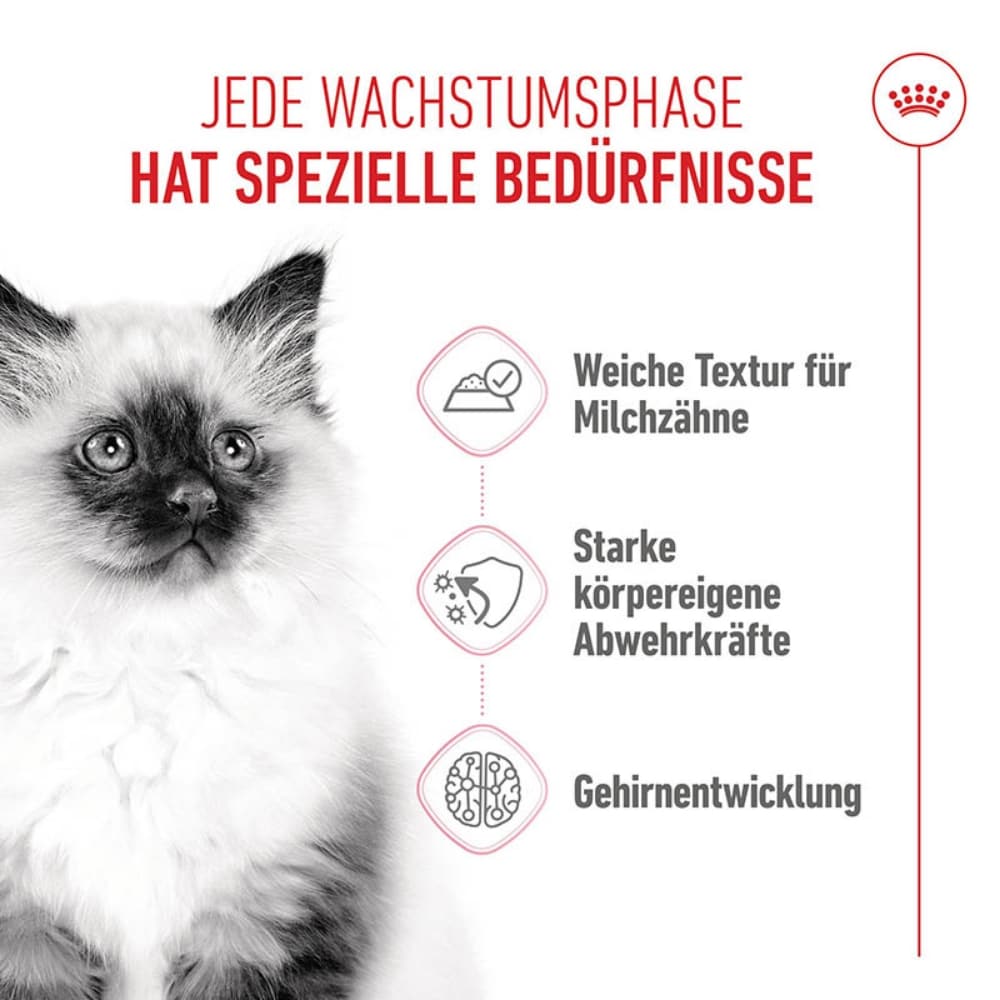 Royal Canin Kitten Nassfutter in Mousse für Kätzchen_3