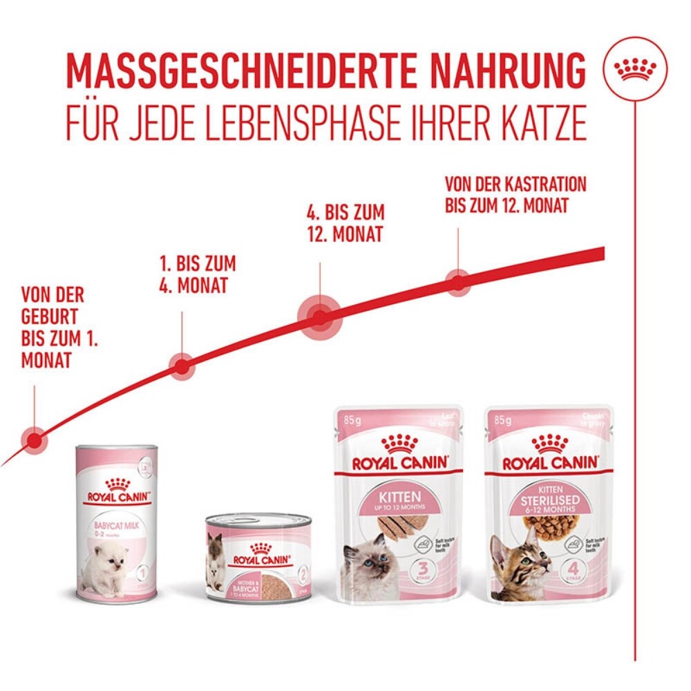 Royal Canin Kitten Nassfutter in Mousse für Kätzchen_6