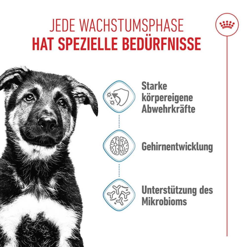 Royal Canin Maxi Puppy Trockenfutter für Welpen großer Rassen_1