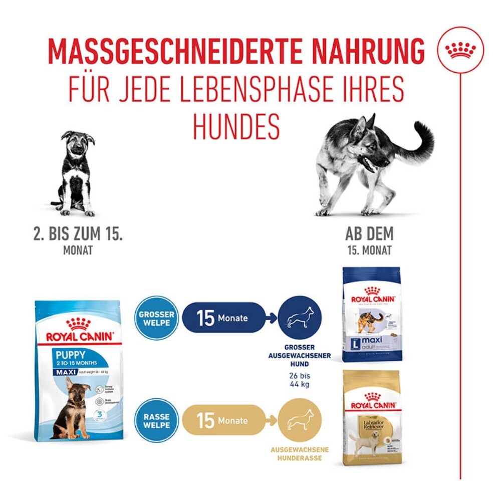 Royal Canin Maxi Puppy Trockenfutter für Welpen großer Rassen_5