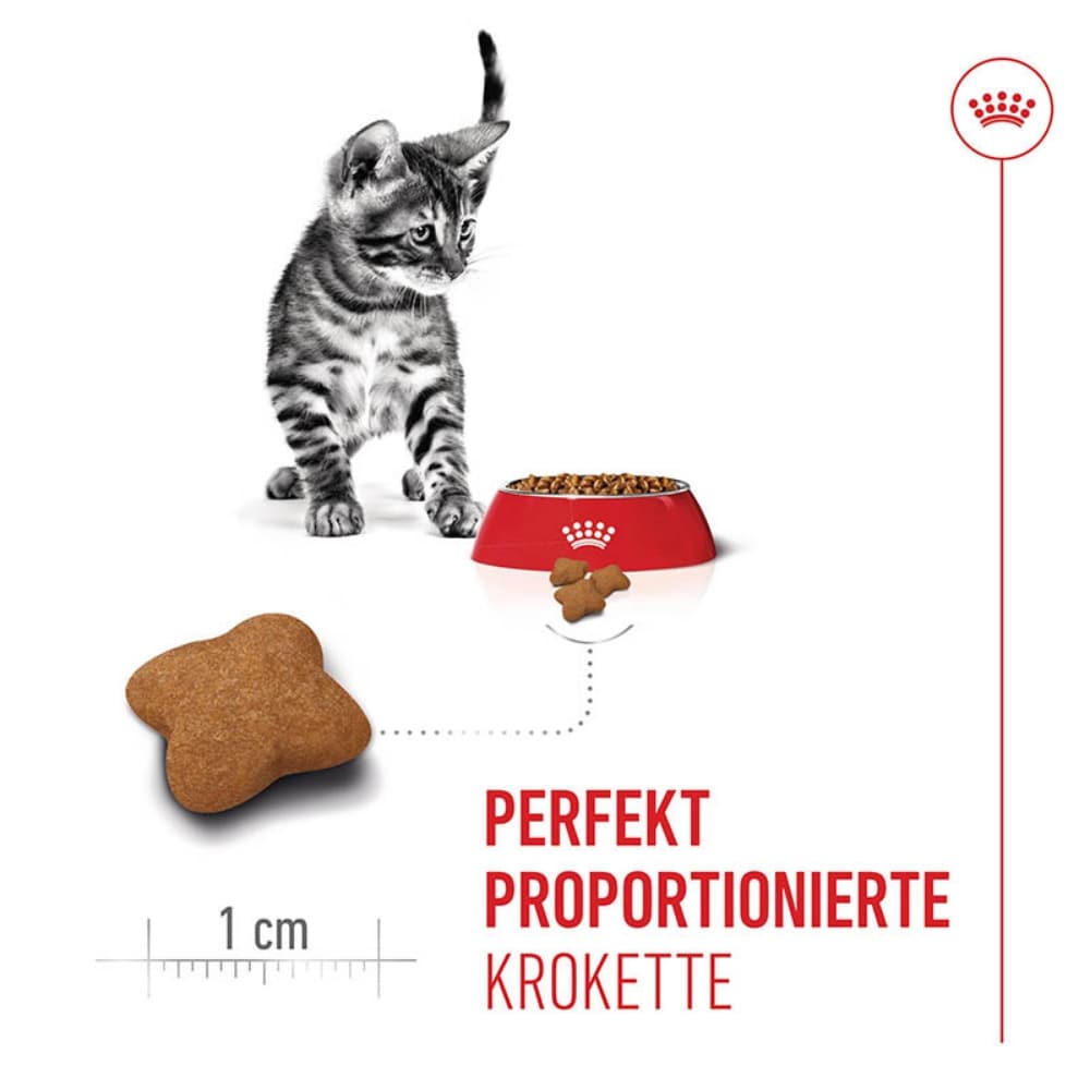 Royal Canin Kitten Sterilised Kittenfutter für kastrierte Kätzchen vom 6. - 12. Monat_3