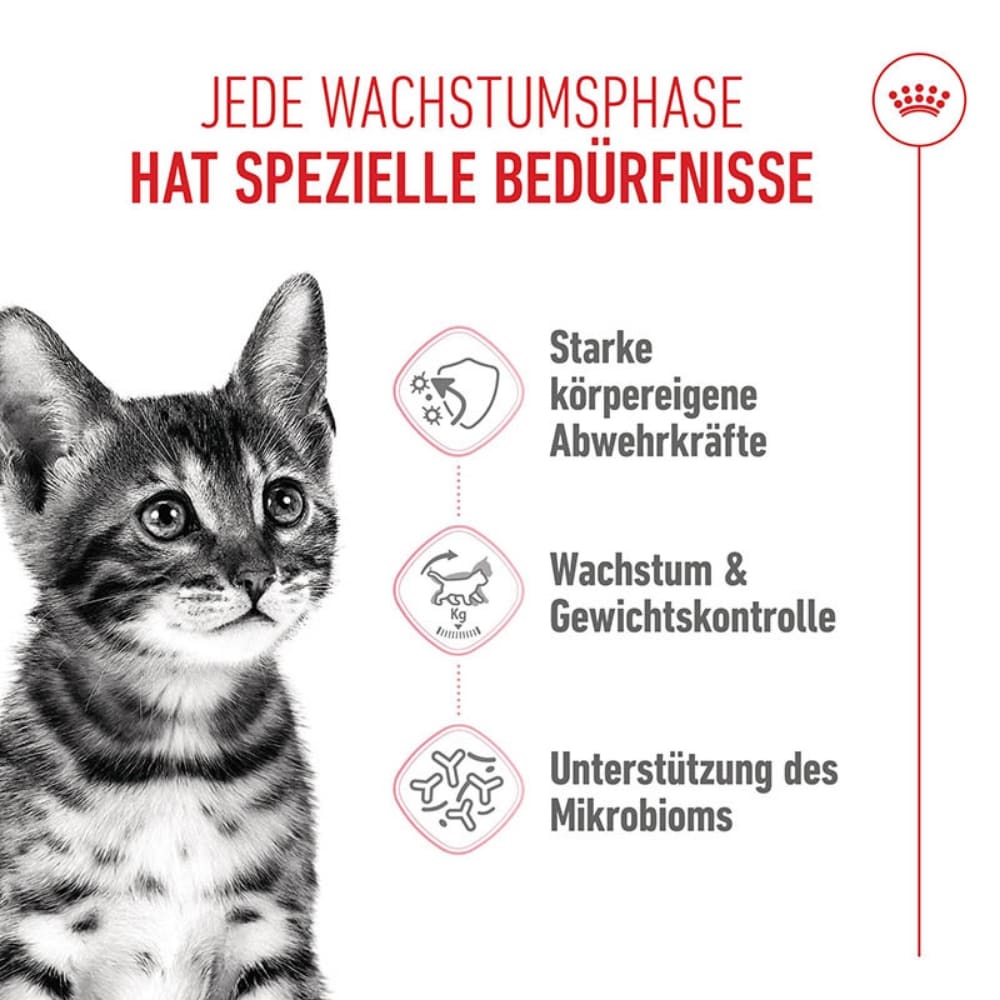 Royal Canin Kitten Sterilised Kittenfutter für kastrierte Kätzchen vom 6. - 12. Monat_1