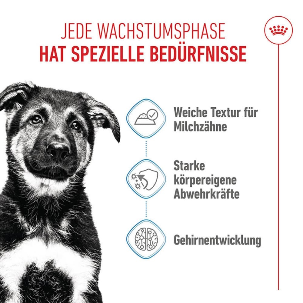Royal Canin Maxi Puppy Welpenfutter nass für große Hunde bis zum 15. Monat_3