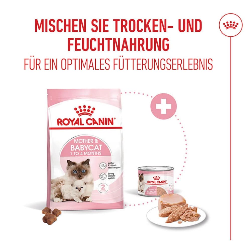Royal Canin Mother & Babycat Mousse für tragende Katzen und Kitten_4