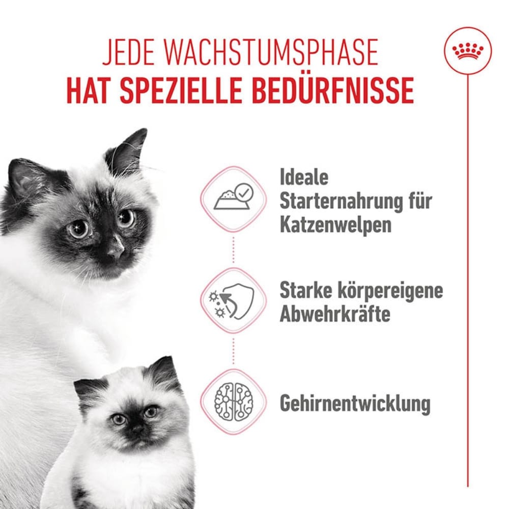Royal Canin Mother & Babycat Mousse für tragende Katzen und Kitten_2