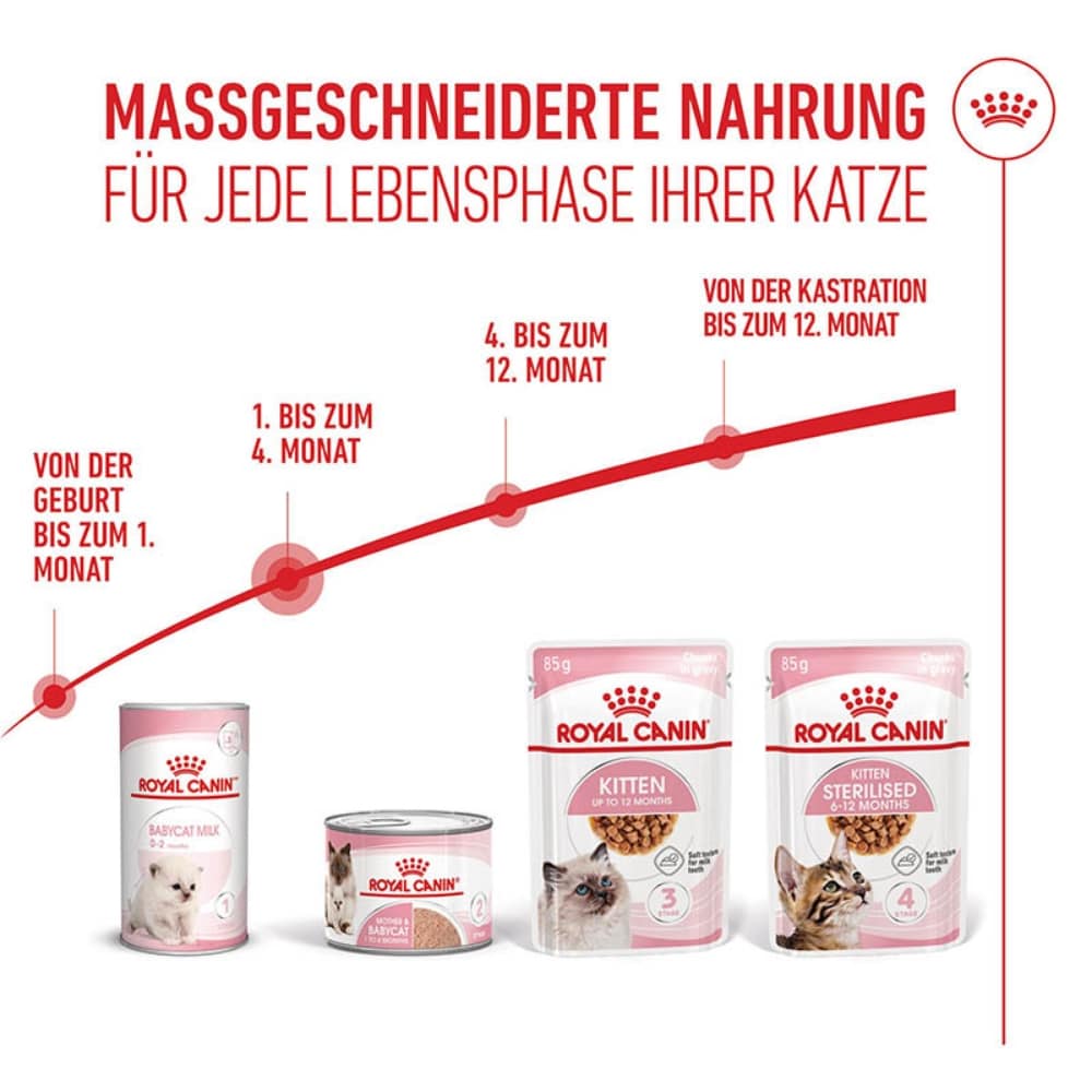 Royal Canin Mother & Babycat Mousse für tragende Katzen und Kitten_5