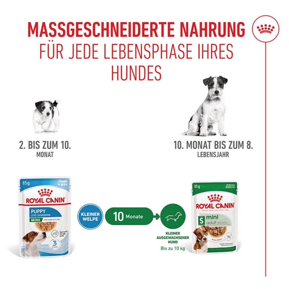 Royal Canin Mini Puppy Welpenfutter Nass für kleine Hunde bis zum 10. Monat_6