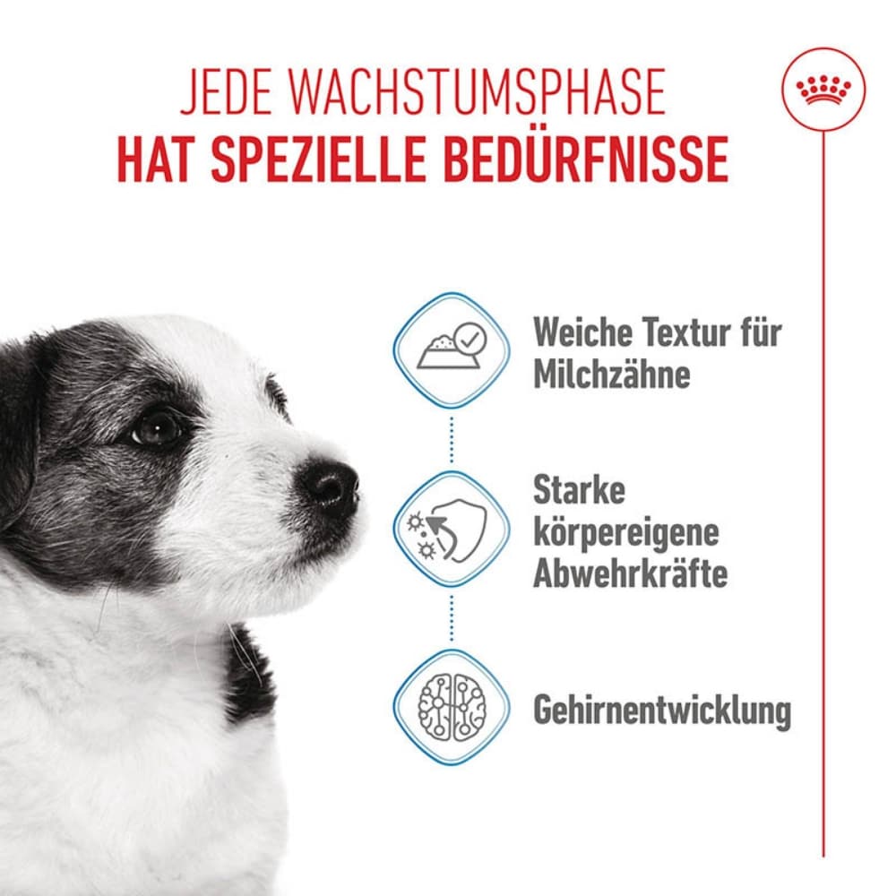 Royal Canin Mini Puppy Welpenfutter Nass für kleine Hunde bis zum 10. Monat_3