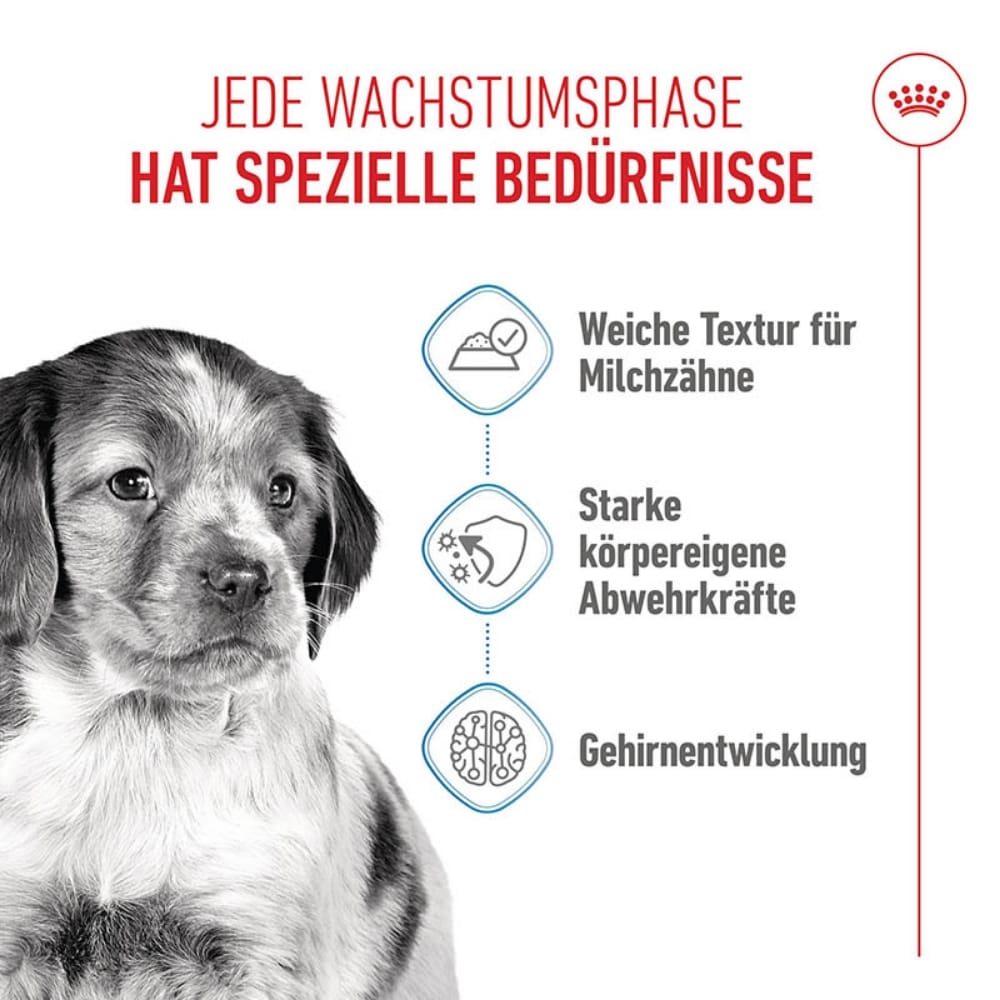Royal Canin Medium Puppy Welpenfutter Nass für mittelgroße Hunde_3