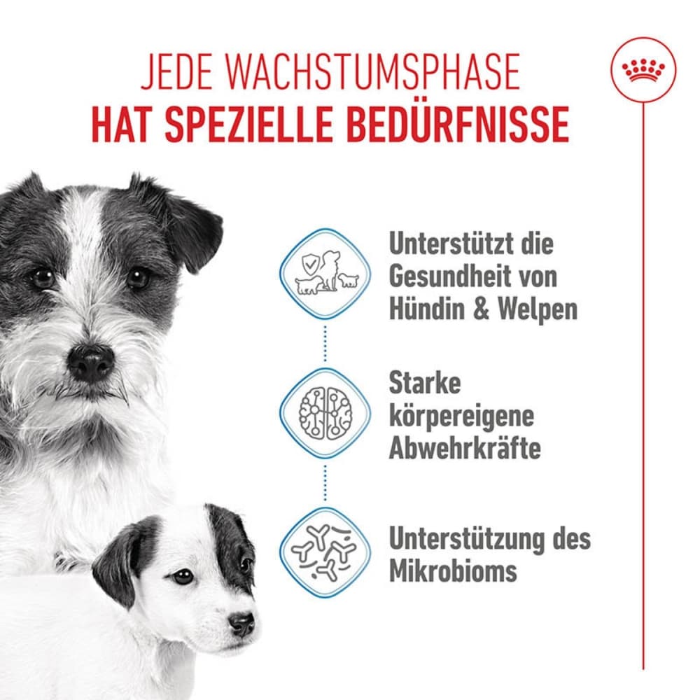 Royal Canin Starter Mini_1