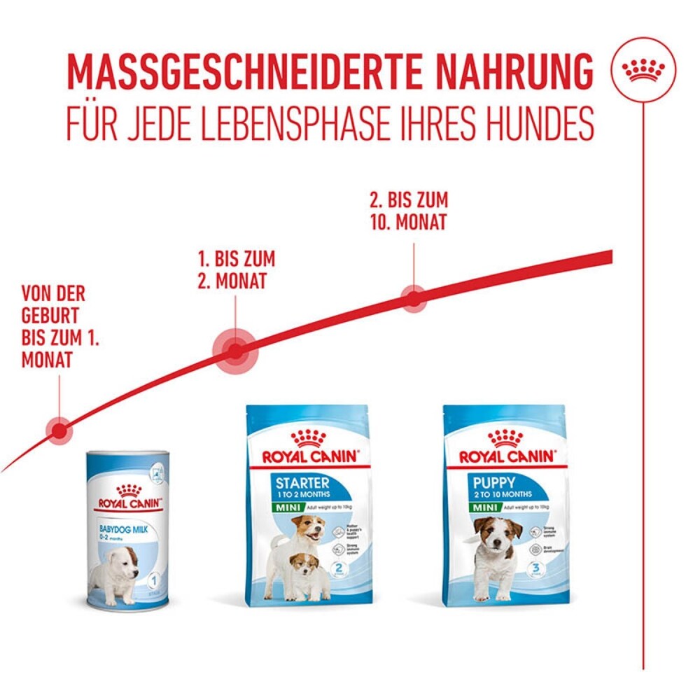 Royal Canin Starter Mini_5