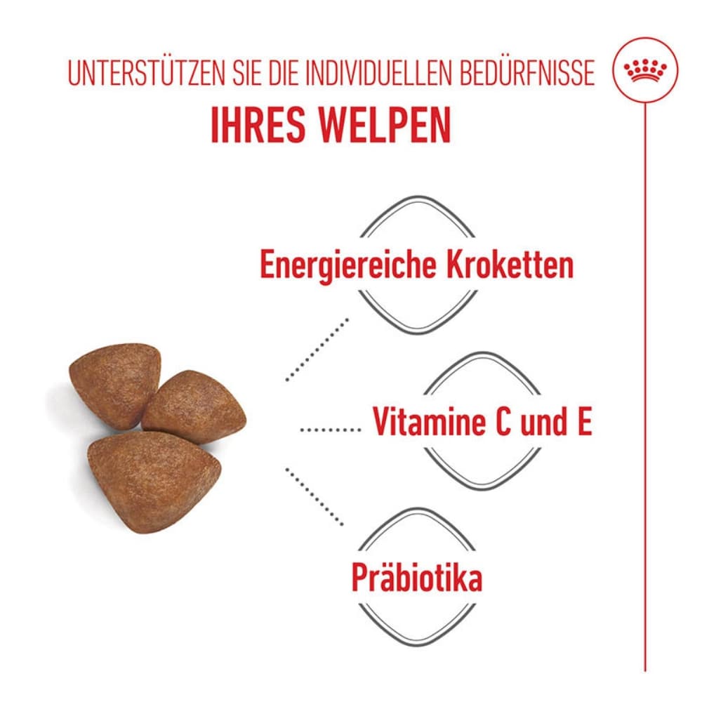 Royal Canin Starter Mini_2