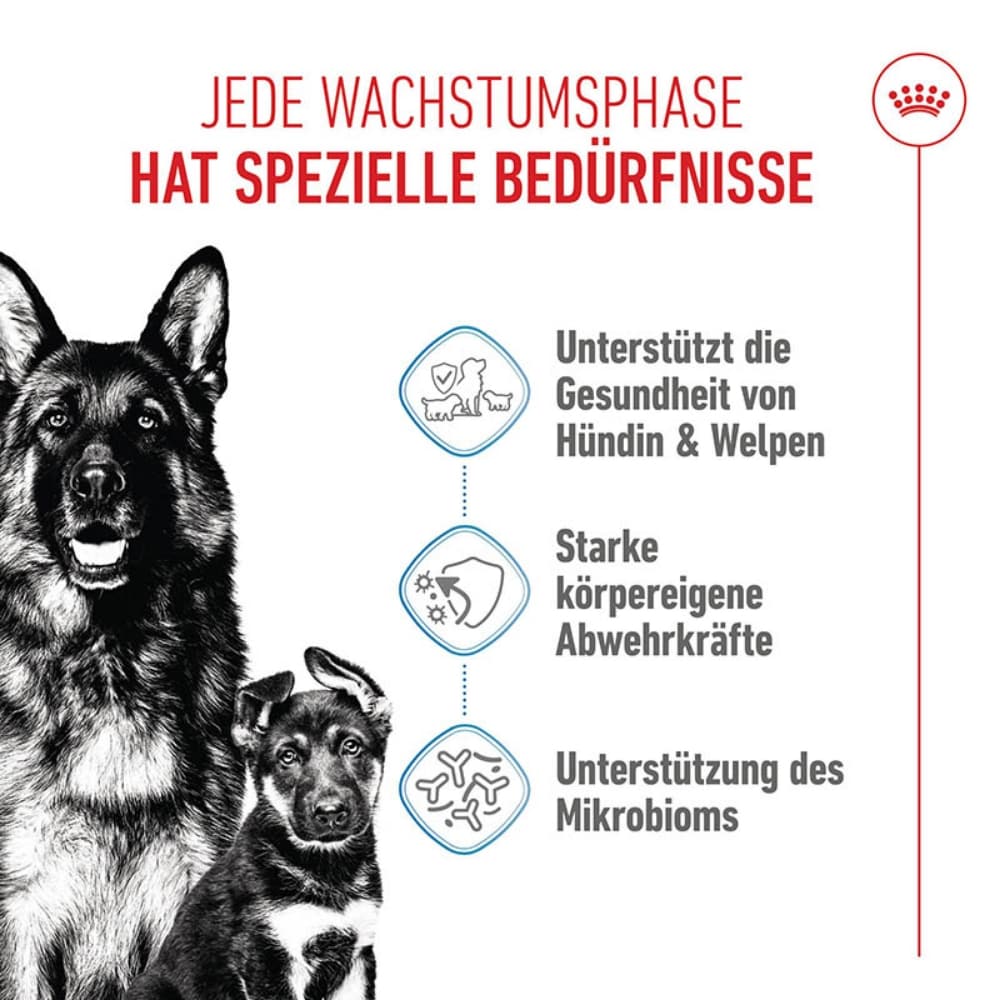Royal Canin Maxi Starter für tragende Hündin und Welpen großer Rassen_1