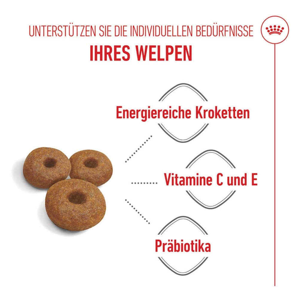 Royal Canin Maxi Starter für tragende Hündin und Welpen großer Rassen_2