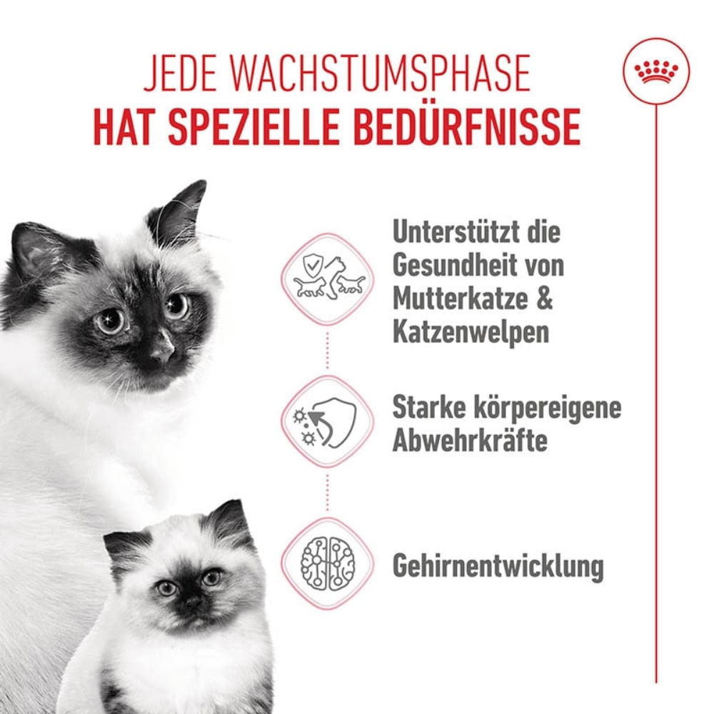 Royal Canin Mother & Babycat Katzenfutter für tragende Katzen und Kitten_1