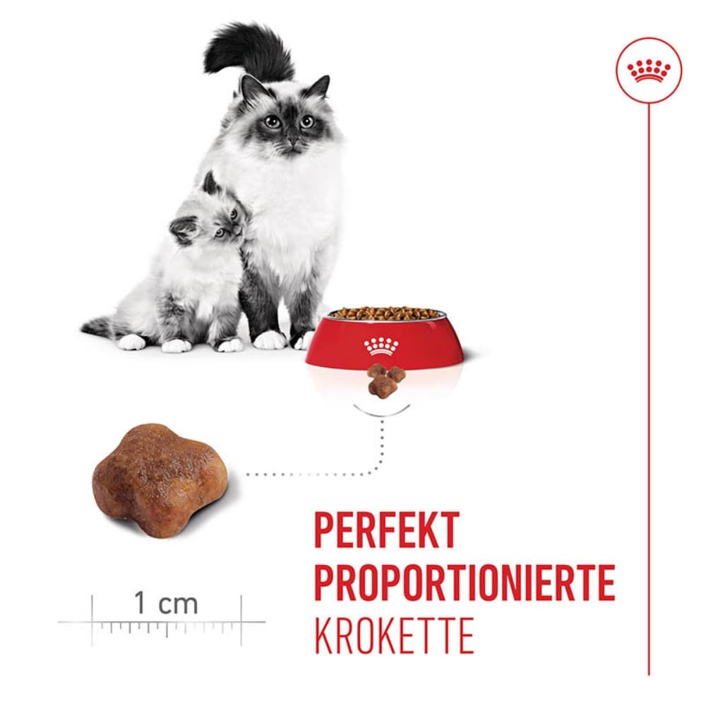 Royal Canin Mother & Babycat Katzenfutter für tragende Katzen und Kitten_3