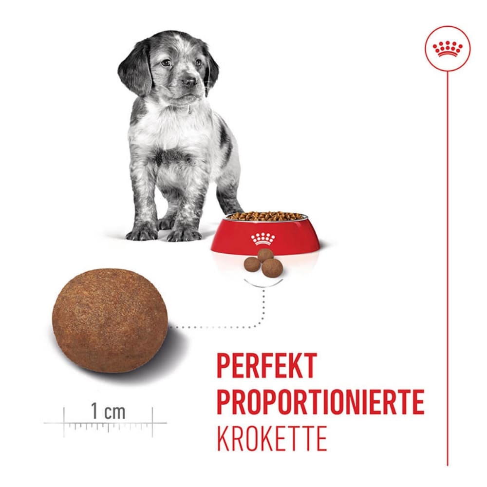 Royal Canin Medium Puppy Trockenfutter für Welpen mittelgroßer Hunderassen_3