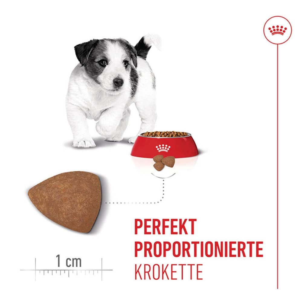 Royal Canin Mini Puppy Trockenfutter für Welpen kleiner Hunderassen_3