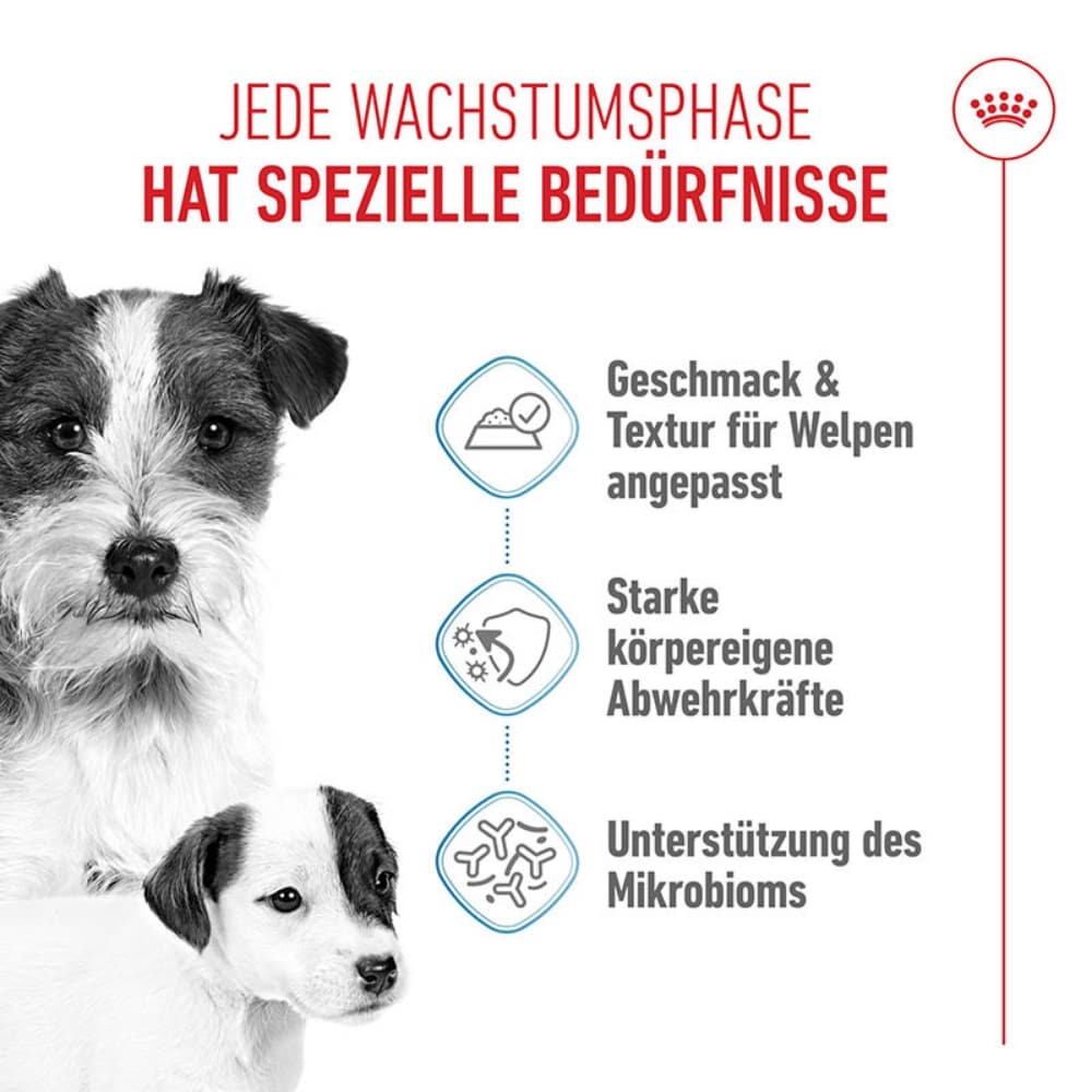 Royal Canin Starter Mousse Mother & Babydog_2