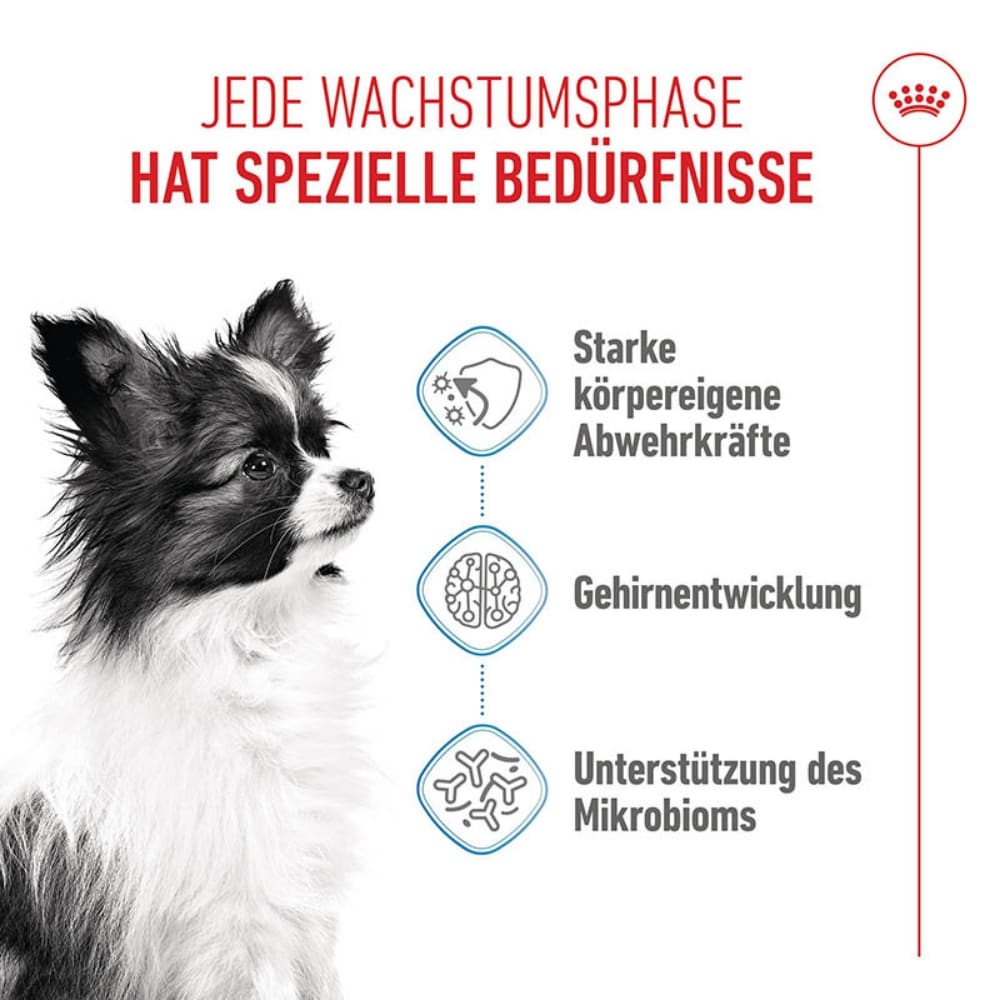 Royal Canin X-Small Puppy Trockenfutter für Welpen kleiner Hunderassen_1