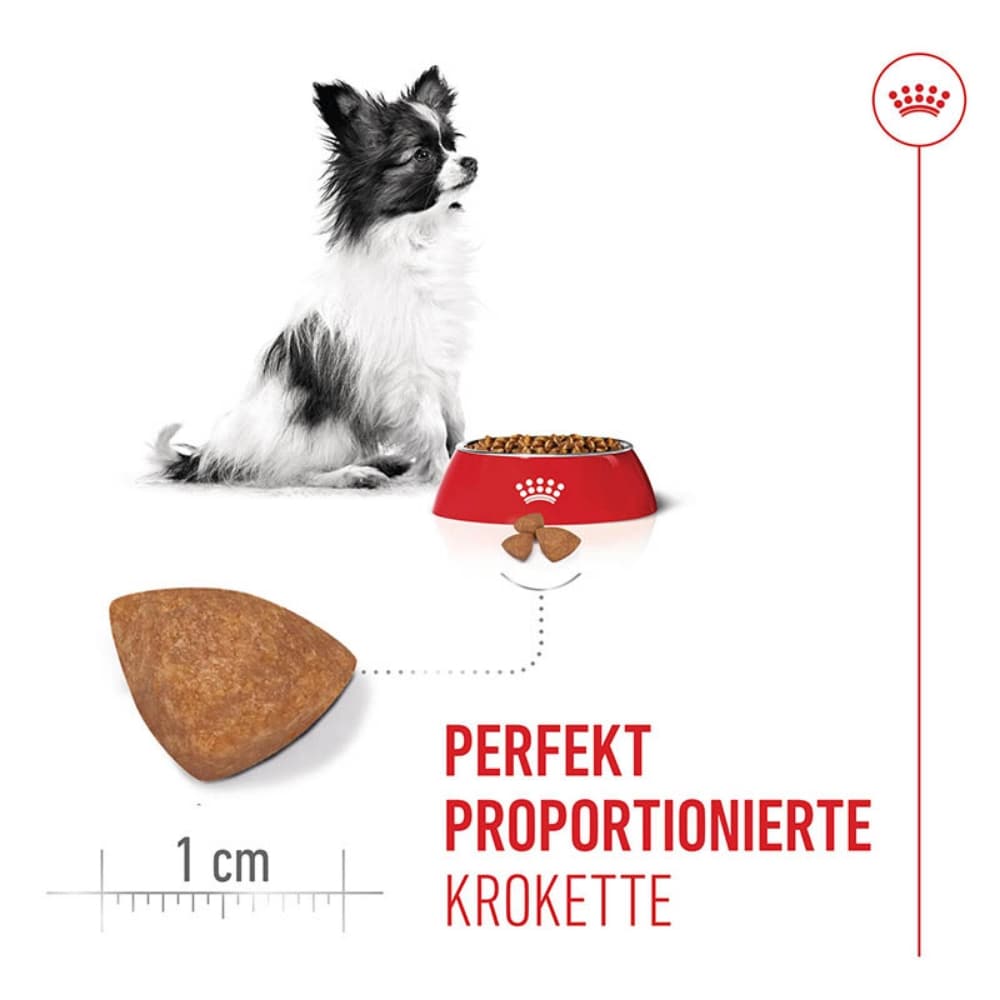 Royal Canin X-Small Puppy Trockenfutter für Welpen kleiner Hunderassen_3