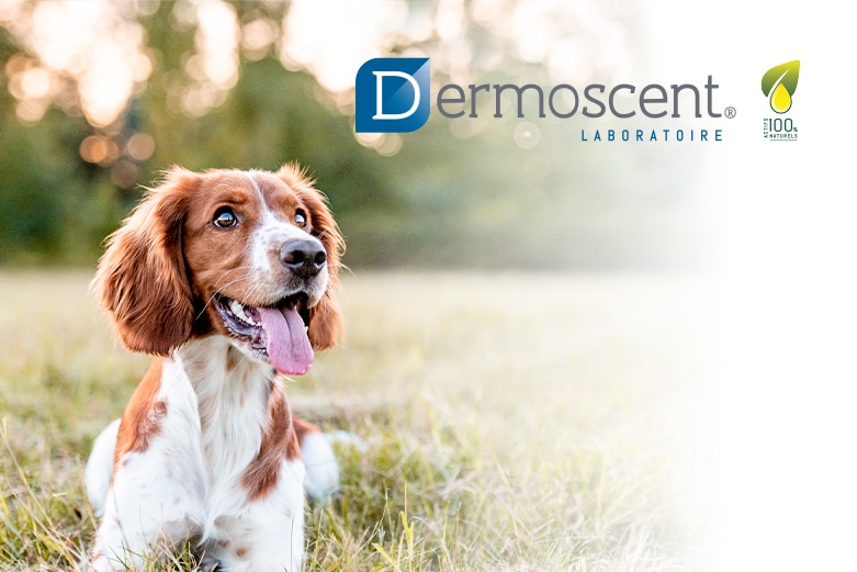 Dermoscent