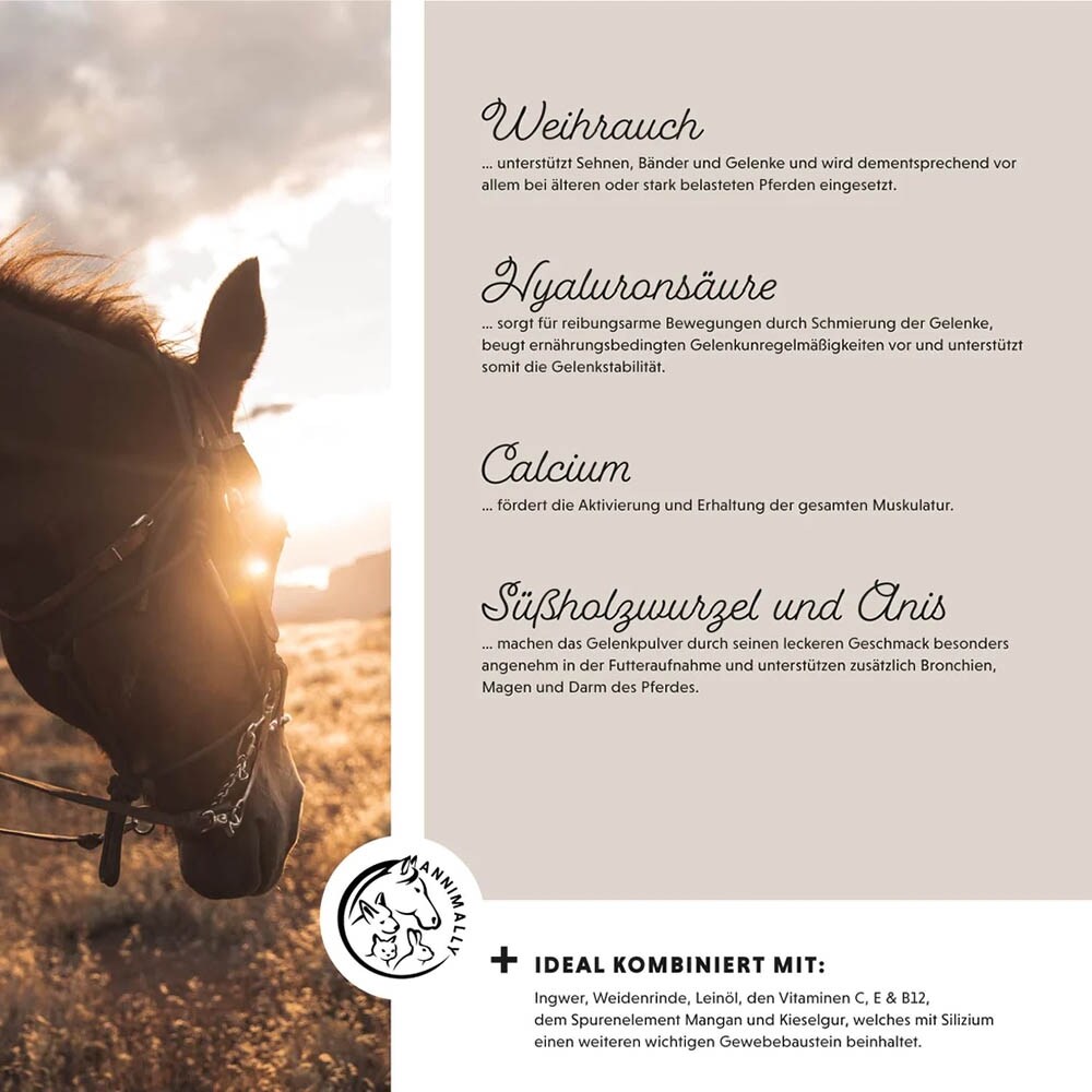 Annimally Bewegungsfreude Pulver_5