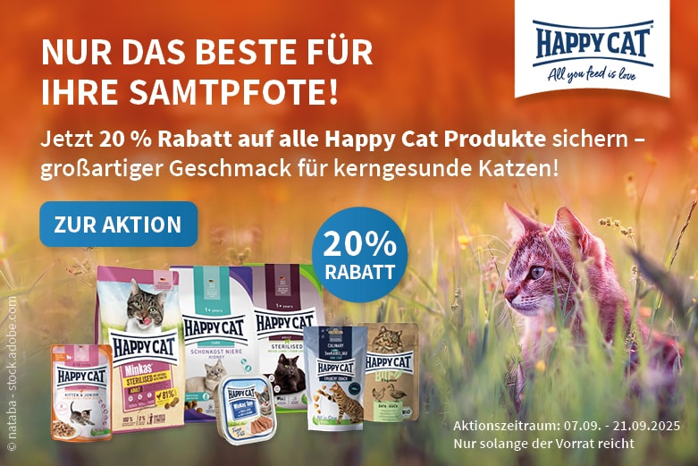 Happy Cat