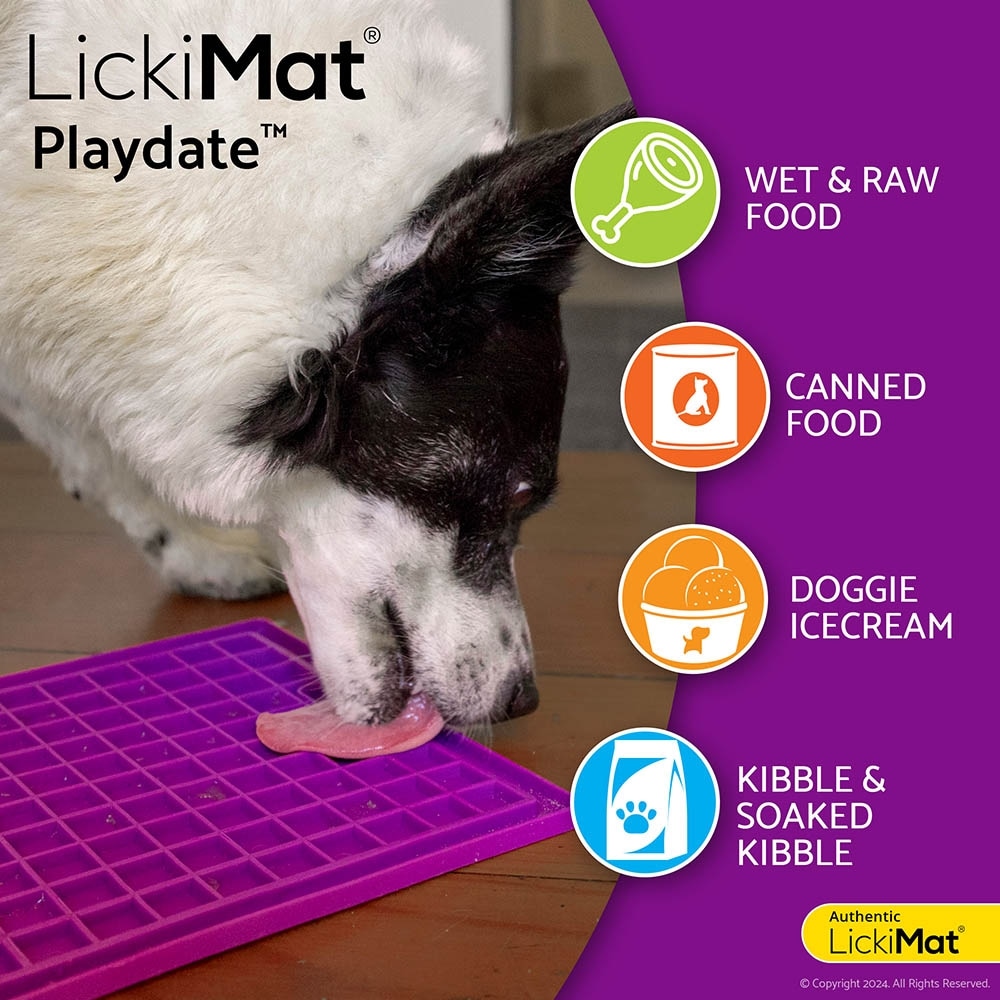 LickiMat Playdate_4