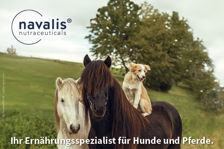 navalis