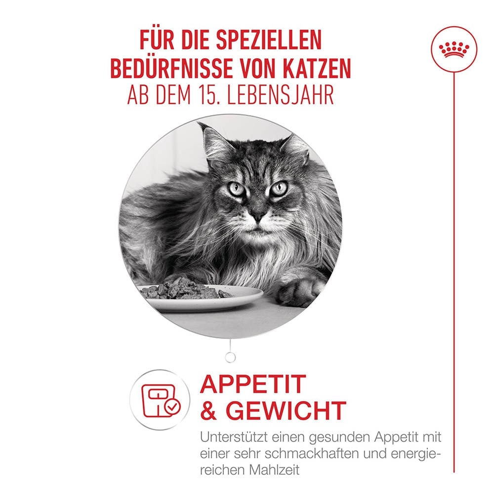 Royal Canin Ageing 15+ Trockennahrung für Senior Katzen ab dem 15. Lebensjahr_2
