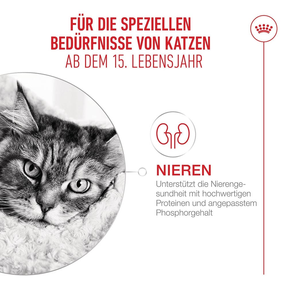 Royal Canin Ageing 15+ Trockennahrung für Senior Katzen ab dem 15. Lebensjahr_3