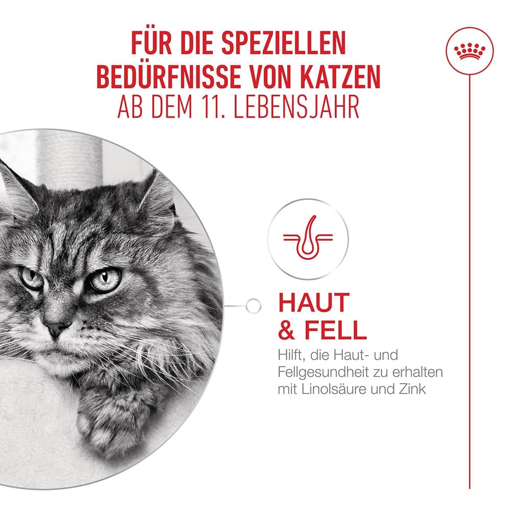 Royal Canin Ageing 11+ Feuchtnahrung in Soße für Senior Katzen ab dem 11. Lebensjahr_2