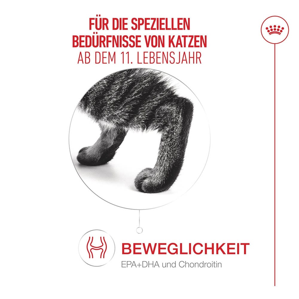 Royal Canin Ageing 11+ Feuchtnahrung in Soße für Senior Katzen ab dem 11. Lebensjahr_3