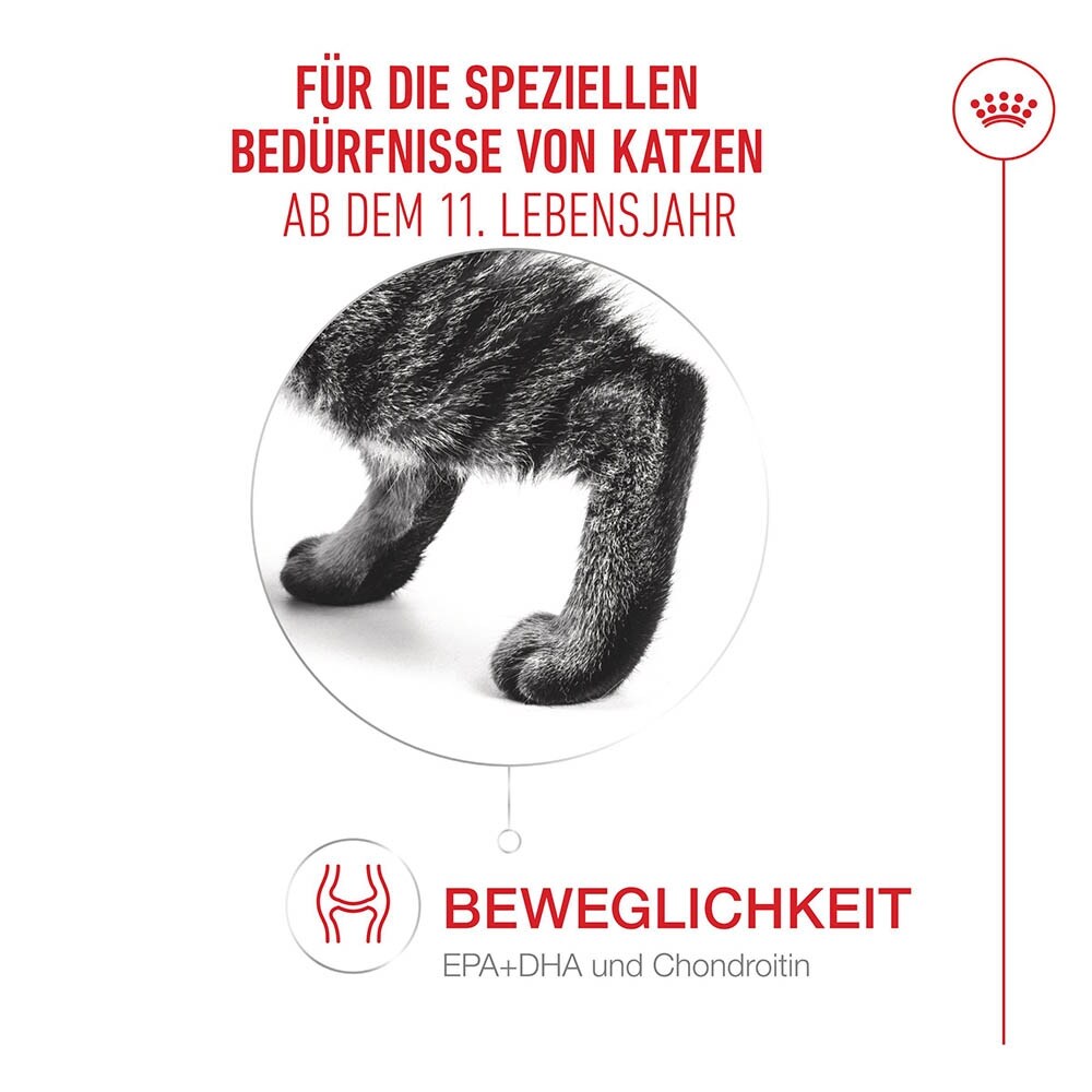 Royal Canin Ageing 11+ Feuchtnahrung in Gelee für Senior Katzen ab dem 11. Lebensjahr_3