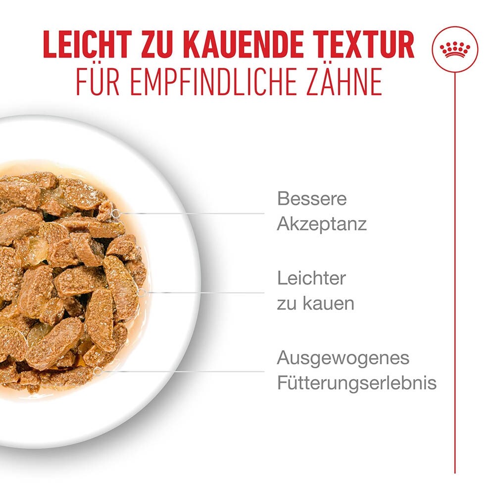 Royal Canin Ageing 11+ Feuchtnahrung in Gelee für Senior Katzen ab dem 11. Lebensjahr_4