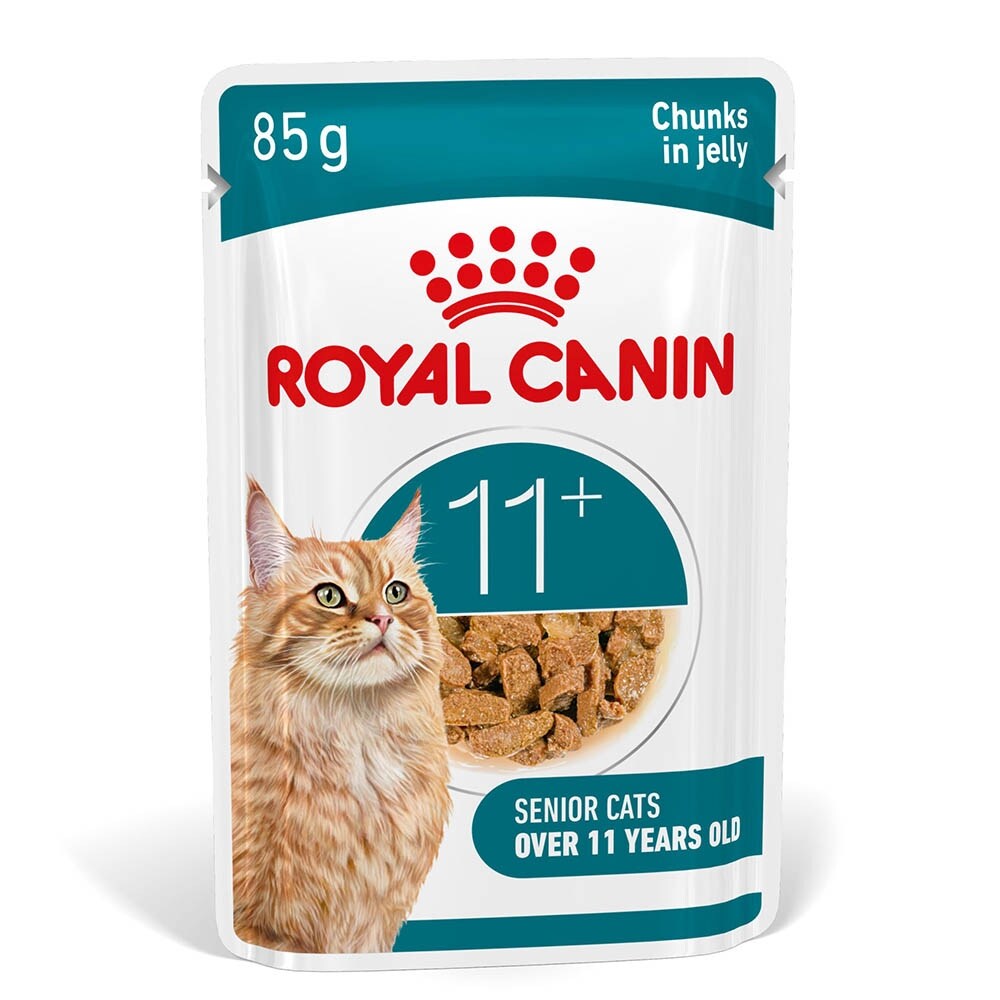 Royal Canin Ageing 11+ Feuchtnahrung in Gelee für Senior Katzen ab dem 11. Lebensjahr_1