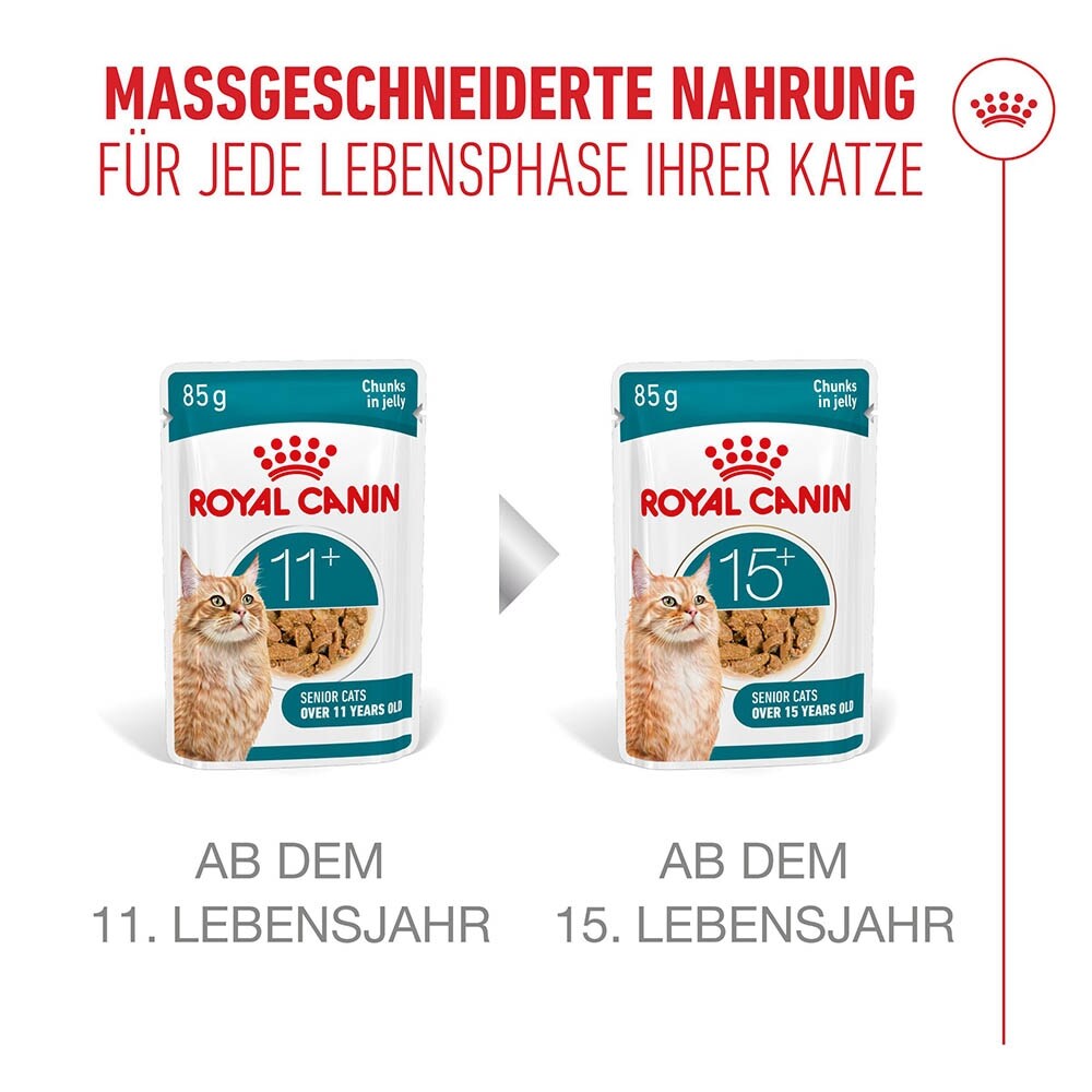 Royal Canin Ageing 11+ Feuchtnahrung in Gelee für Senior Katzen ab dem 11. Lebensjahr_6