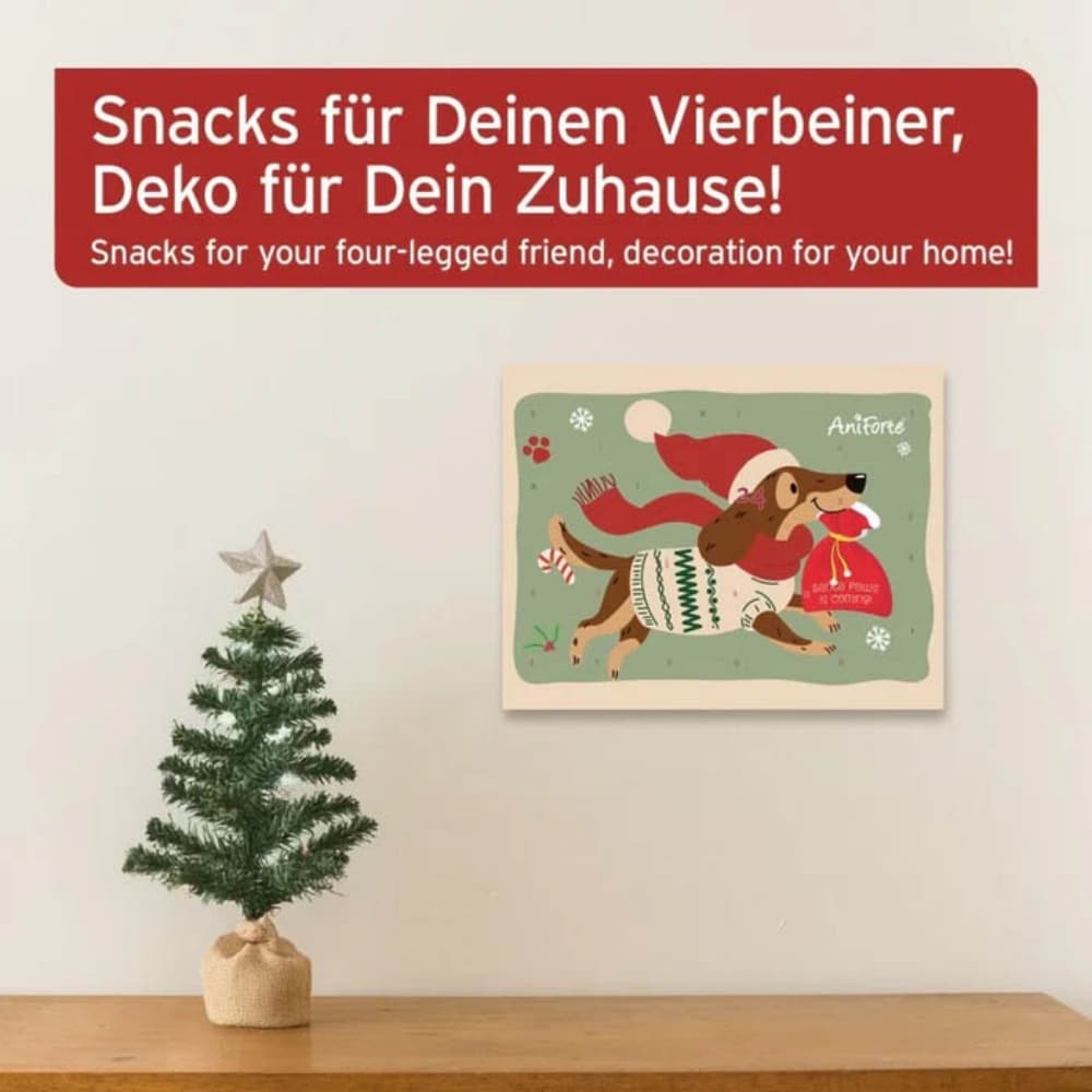 Aniforte Adventskalender 2024 für Hunde_3