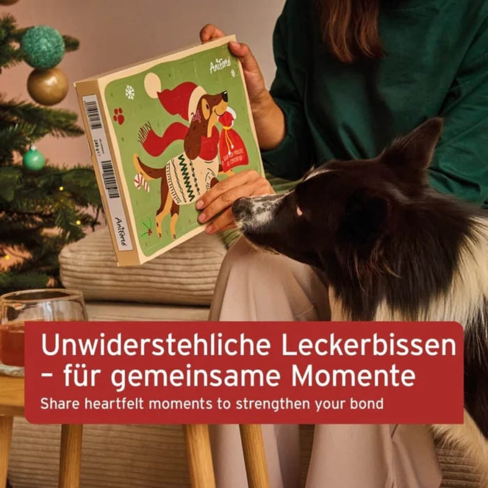 Aniforte Adventskalender 2024 für Hunde_4
