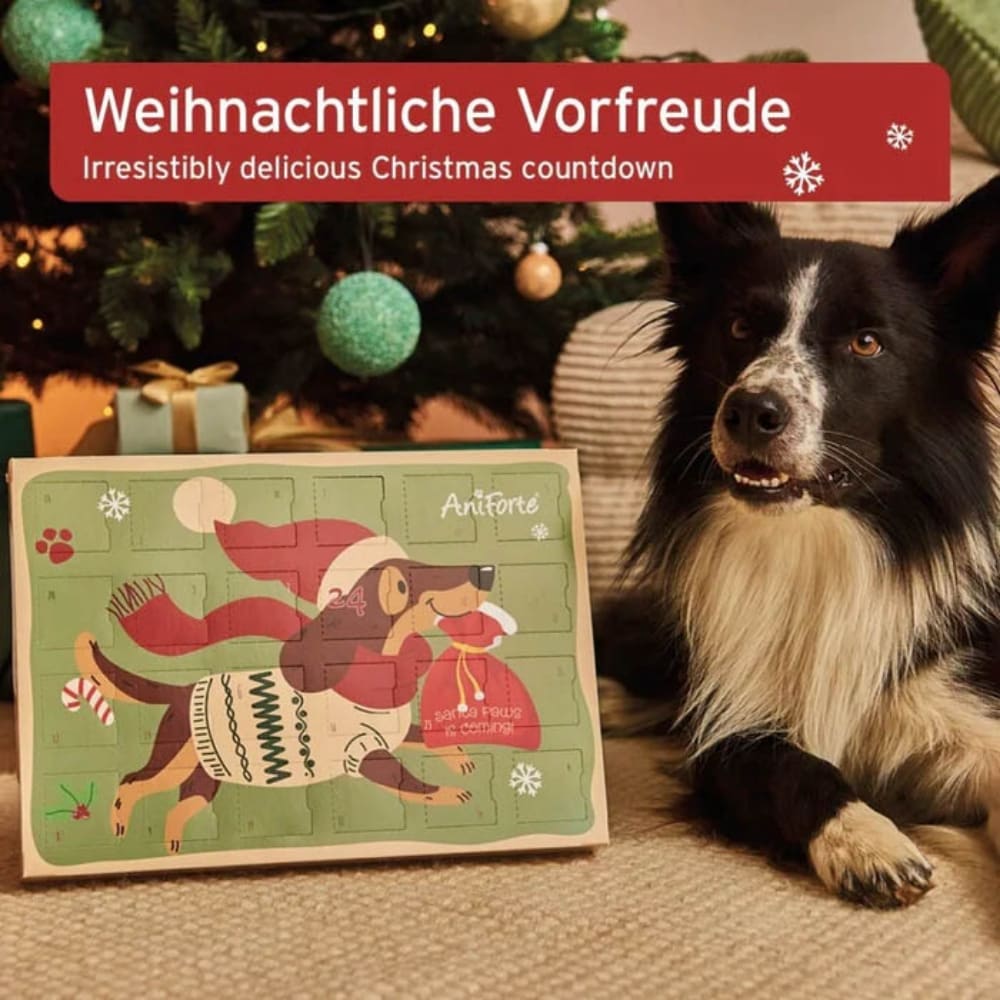 Aniforte Adventskalender 2024 für Hunde_5
