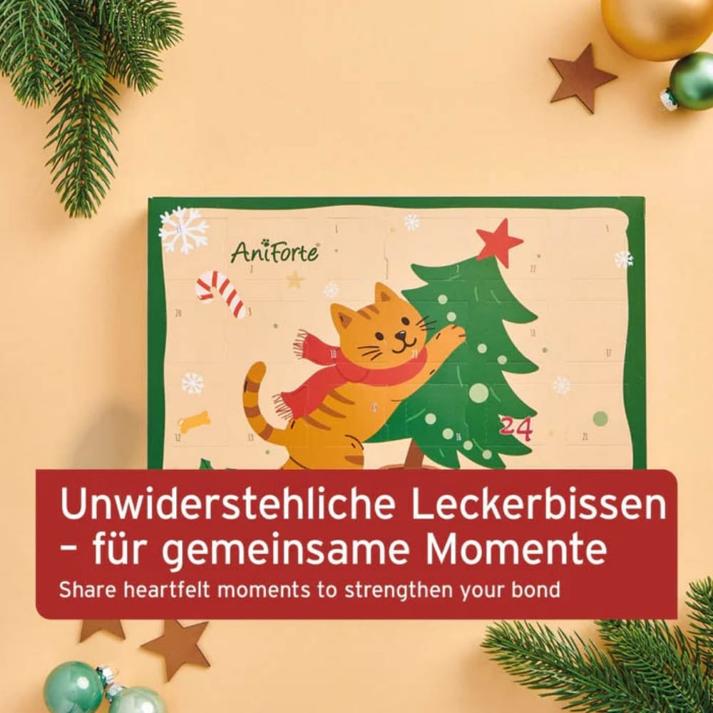 AniForte Adventskalender für Katzen_5