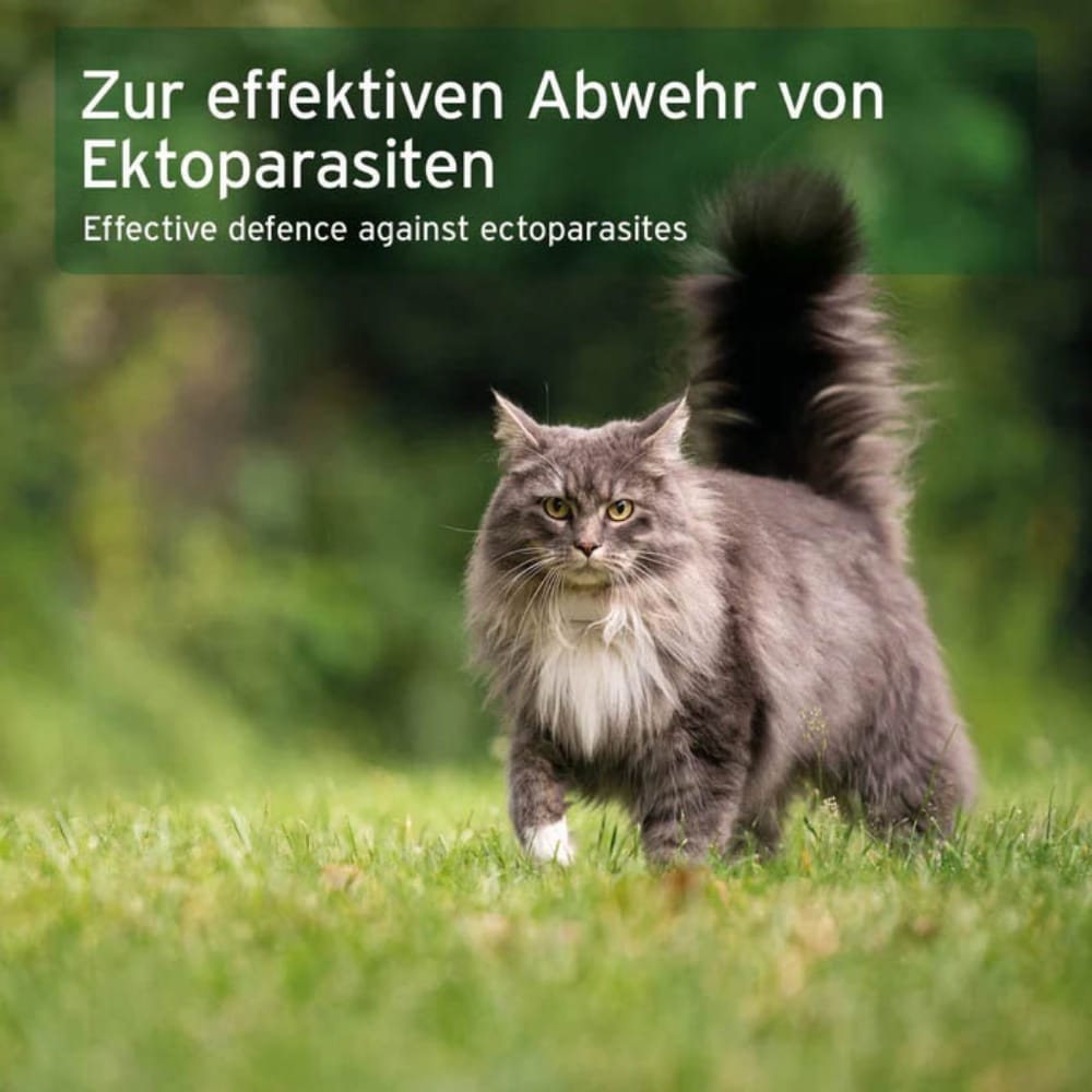 AniForte Ectoprotex Spot-on für Katzen_3