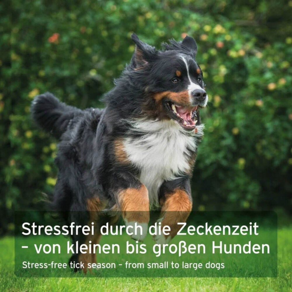 AniForte ZeckenSchild Kapseln für Hunde_7