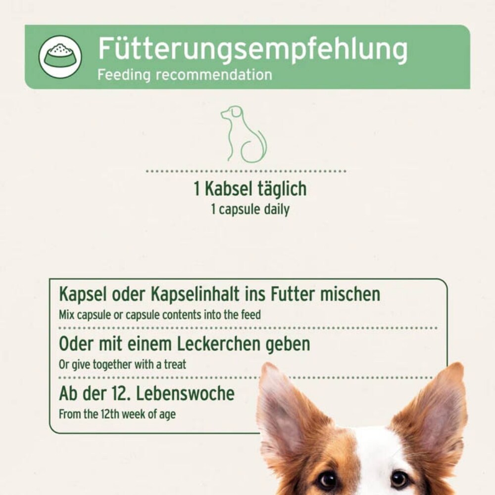 AniForte ZeckenSchild Kapseln für Hunde_6