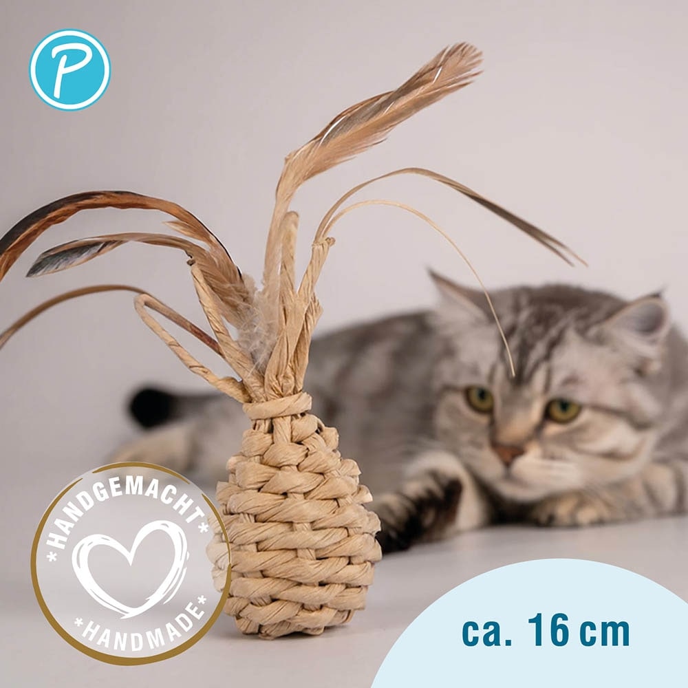 Petlando Earthcat Catnip Ananas_2