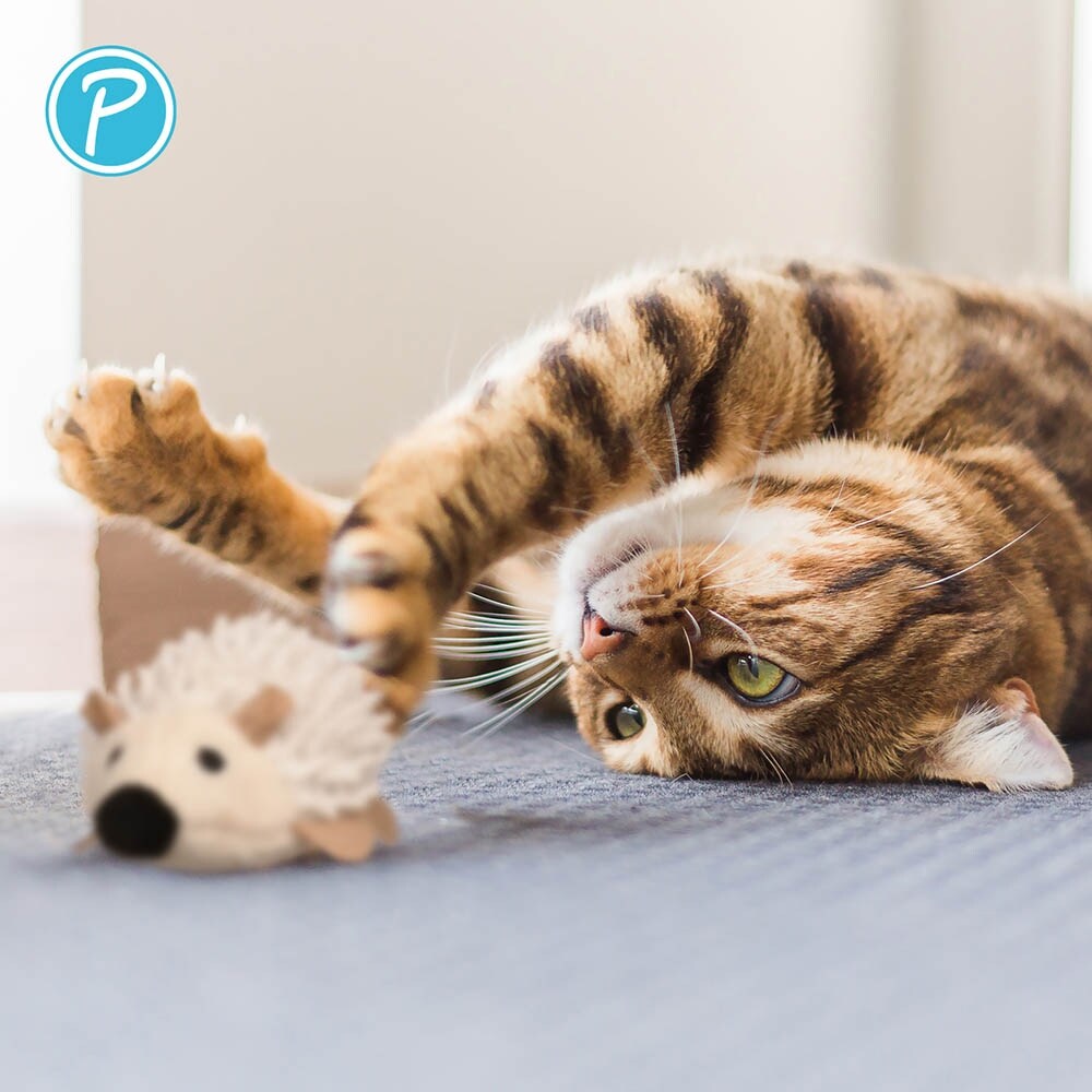 Petlando Katzenspielzeug Igel_2