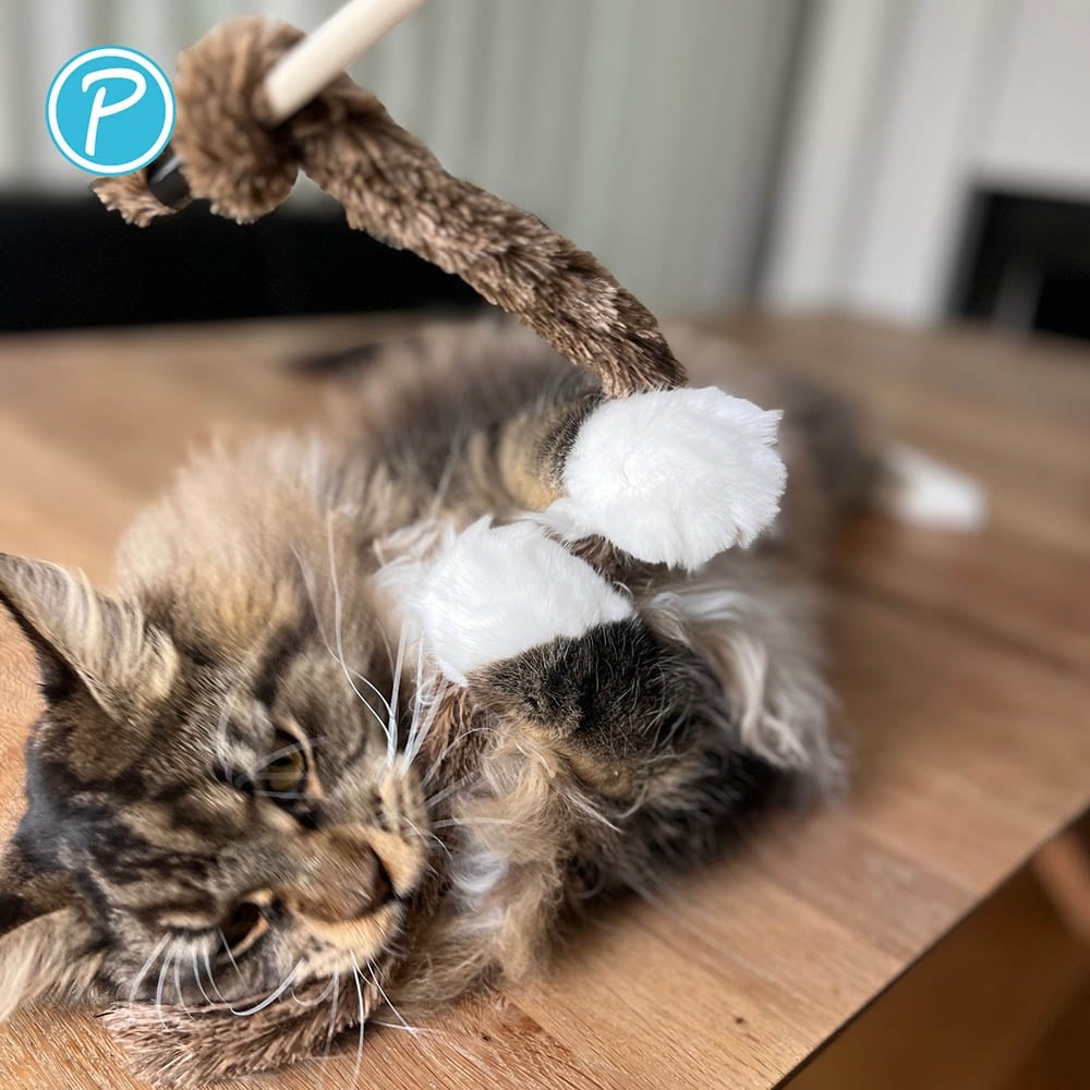 Petlando Katzenangel Plüsch_3